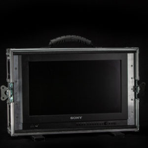 Sony LMD-A170 - 17" LCD