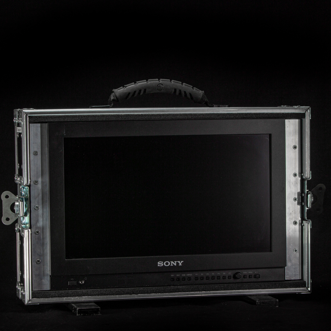 Sony LMD-A170 - 17" LCD