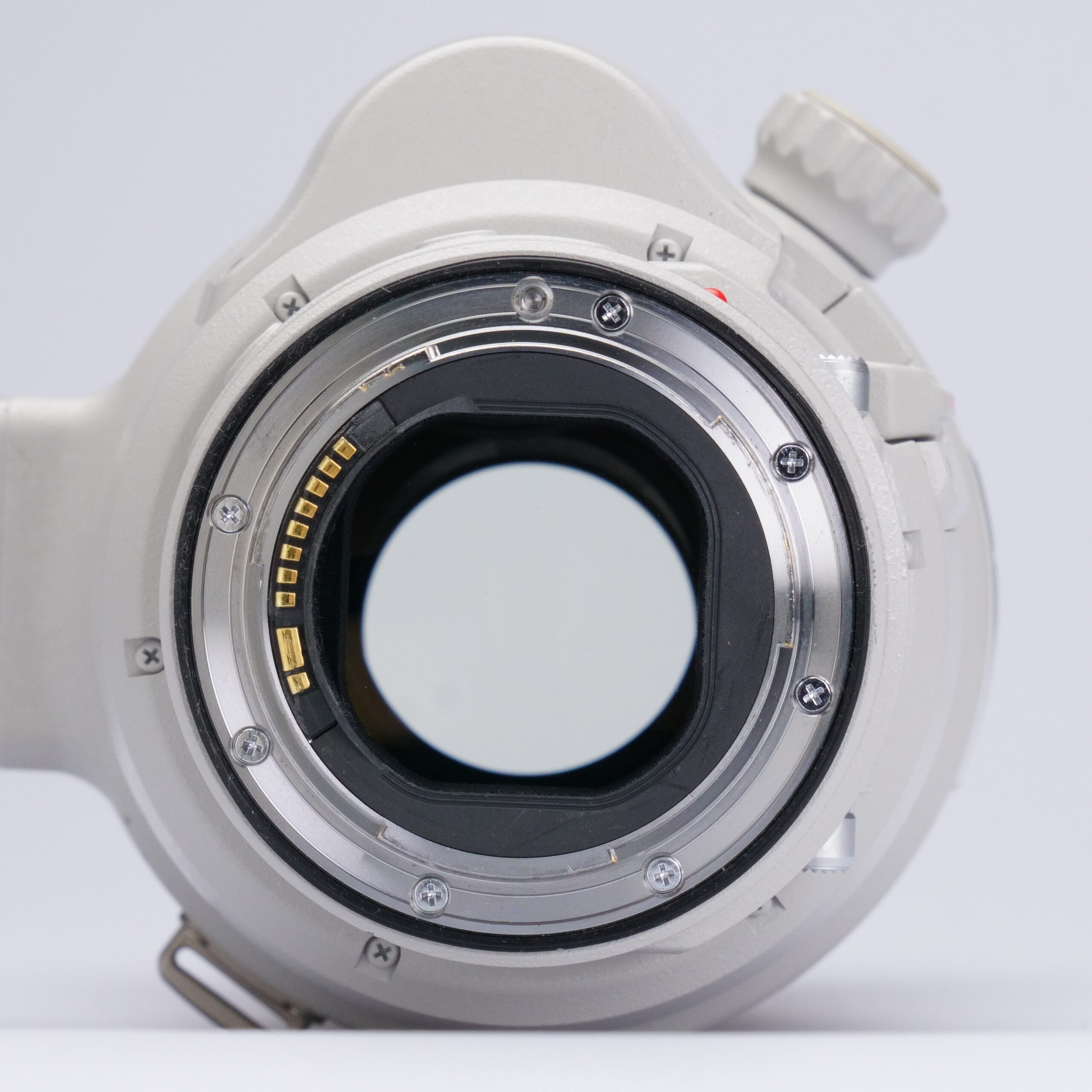 Canon - EF Zoom 200-400mm f/4L IS USM Extender 1.4x – Bild 5
