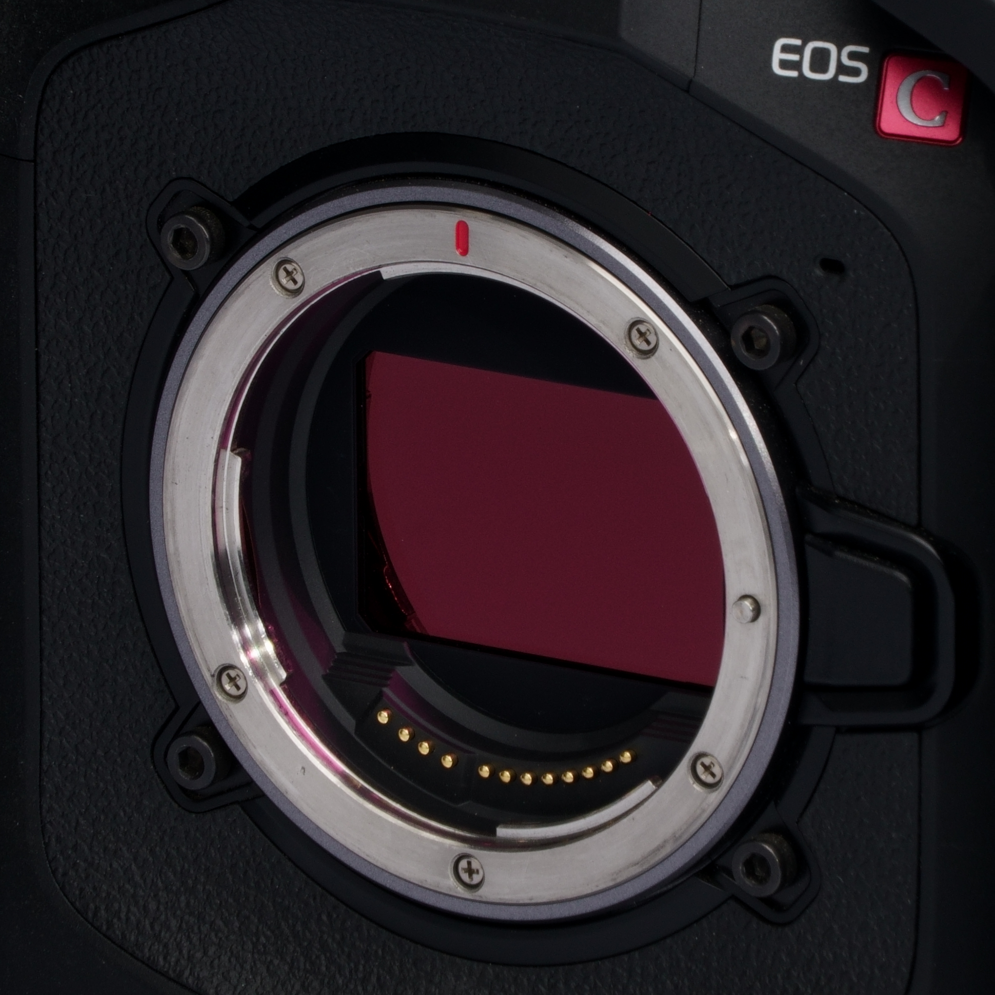 Canon - EOS C80 6K FF – Bild 4